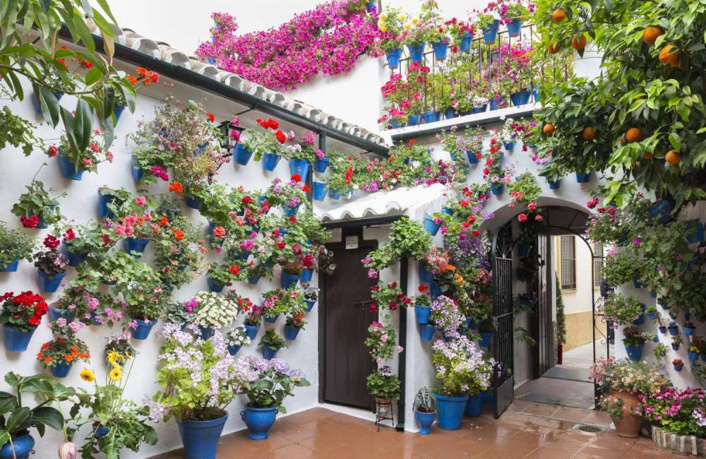 Traditional Spanish Patios, Cordoba Flower Patios, Spanish Culture