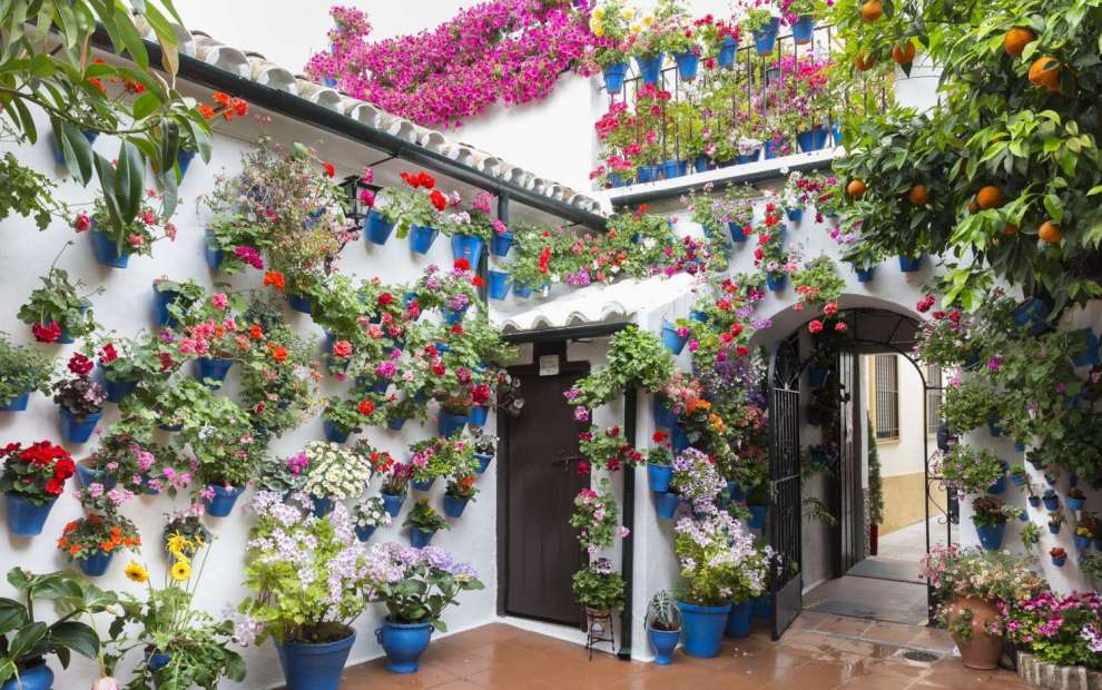 Traditional Spanish Patios, Cordoba Flower Patios, Spanish Culture