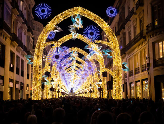 Thousands of people enjoying the Christmas light spectacle called "The Christmas Forest", on Marquez de Larios, in the centre of Malaga, Spain.