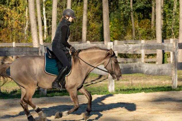 women-rides A woman rides a Lusitano horse in a riding arena. In the background is a wooden fence, a paddock, and a forest.
